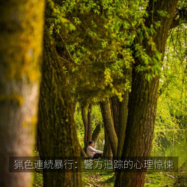 猟色連続暴行:警方追踪的心理惊悚 海报