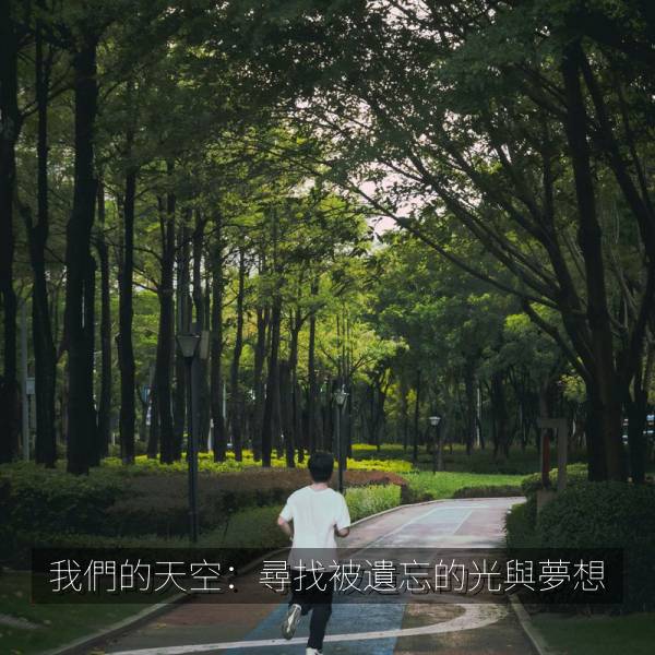 我們的天空:尋找被遺忘的光與夢想 海报