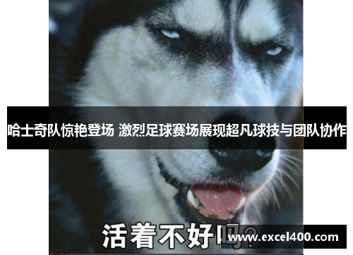 哈士奇队惊艳登场 激烈足球赛场展现超凡球技与团队协作